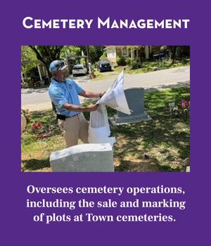Cemetery Management Banner. Picture shows employee at a cemetery reading a large printed map.