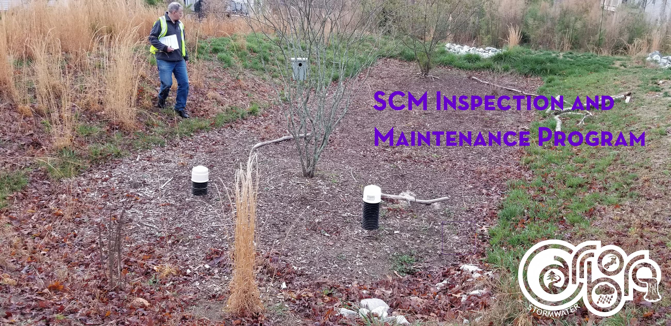 RD SCM inspection